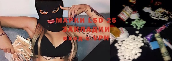 индика Алзамай