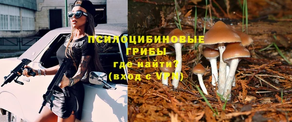 не бодяженный Алексин