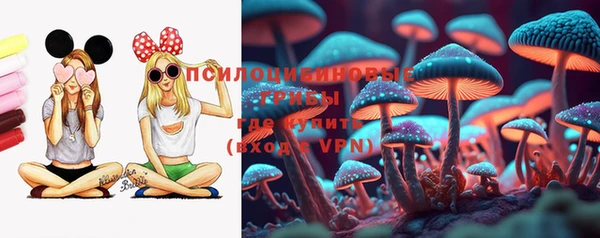 винт Покачи